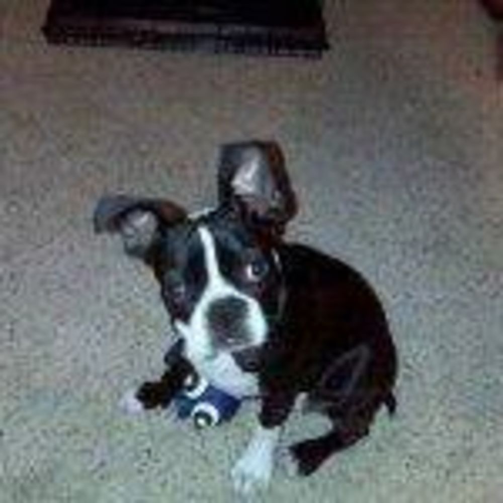 Meet your Posher, Nichole